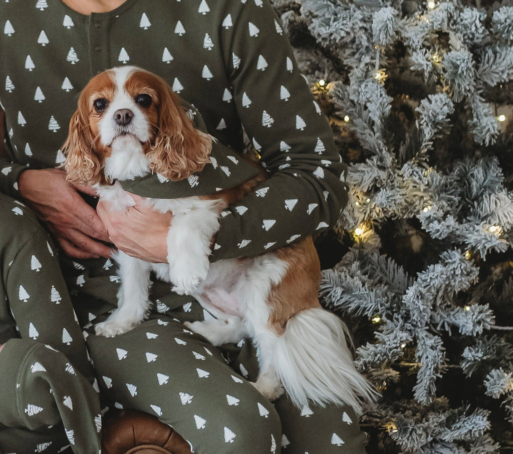 Frosty Pine | Holiday Thermal Pet Bandana