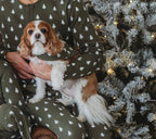 Frosty Pine | Holiday Thermal Pet Bandana