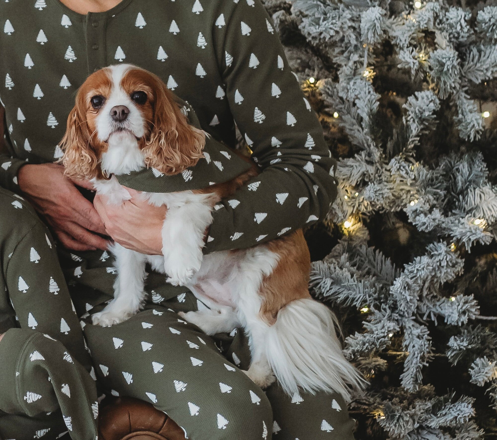 Frosty Pine | Holiday Thermal Pet Bandana