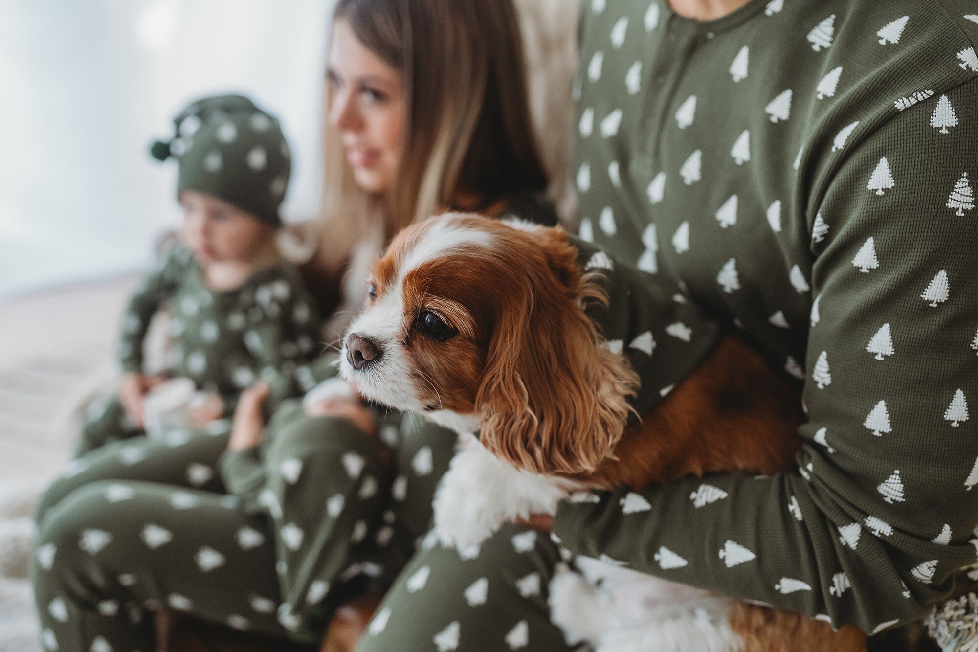 Frosty Pine | Holiday Thermal Pet Bandana
