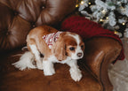 Frosty Pine | Holiday Thermal Pet Bandana