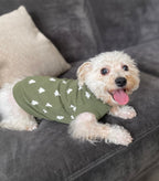 Frosty Pine | Holiday Dog Sweater