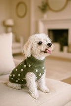 Frosty Pine | Holiday Dog Sweater