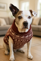 Snowy Night | Holiday Dog Sweater
