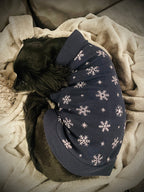 Frosty Pine | Holiday Dog Sweater