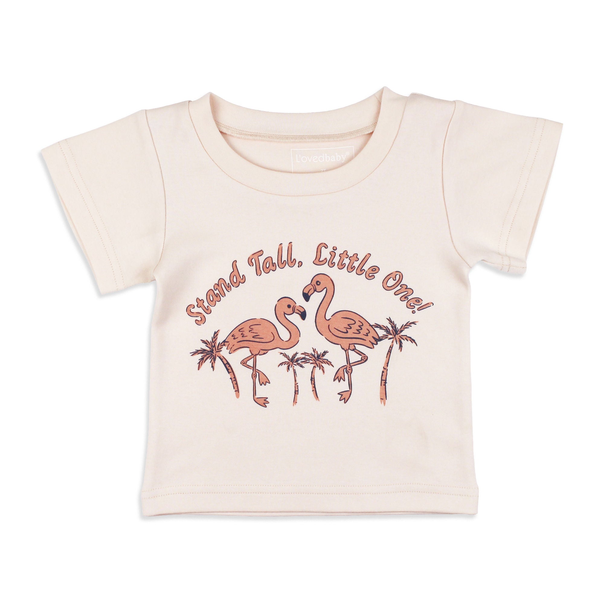 Flamingo | Kids' Organic Boxy Tee