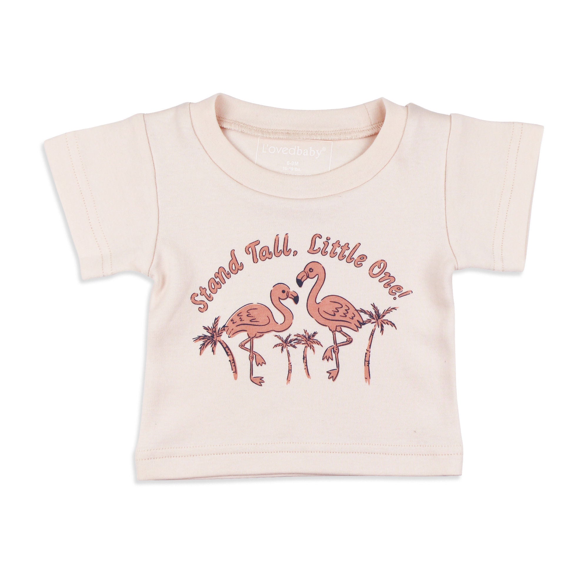 Flamingo | Organic Boxy Tee