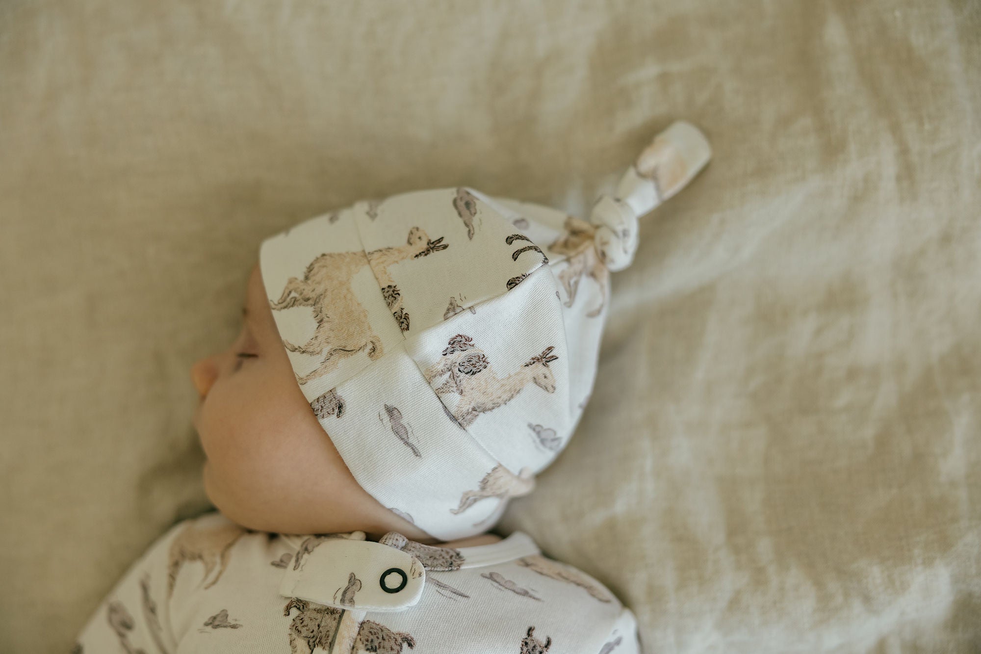 Llama | Organic Knotted Hat