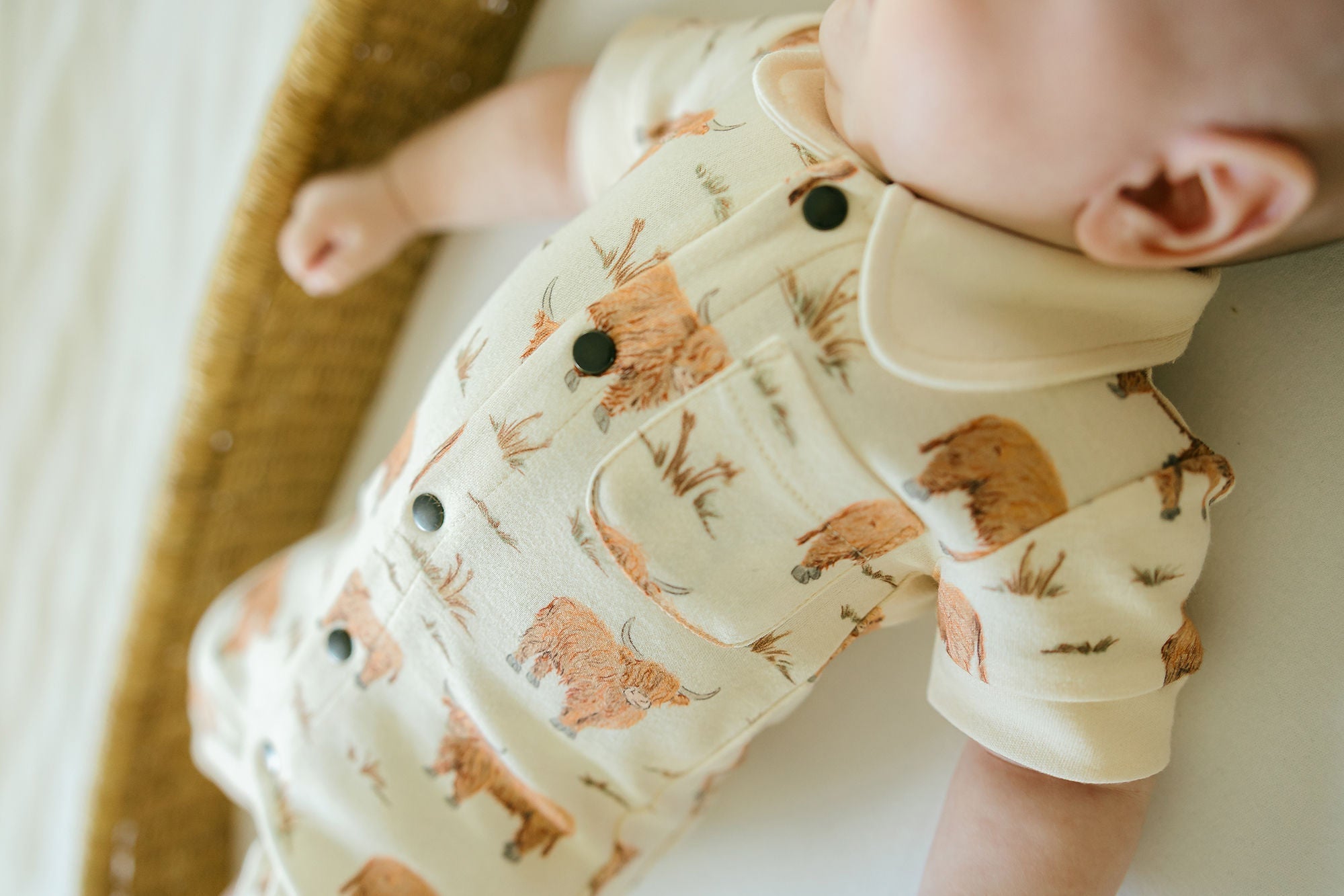 Highland Cow | Organic S/Sleeve Coverall