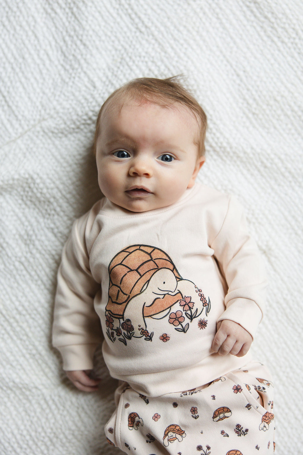 Tiny Tortoise | Organic Sweatshirt & Jogger Set